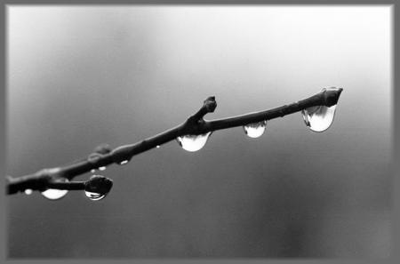 HYMNE A LA PLUIE